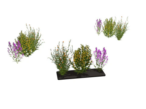 Drie wilde bloemen 3D Model