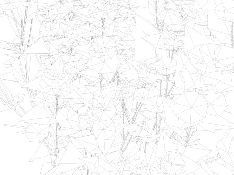 Drie wilde bloemen 3D Model