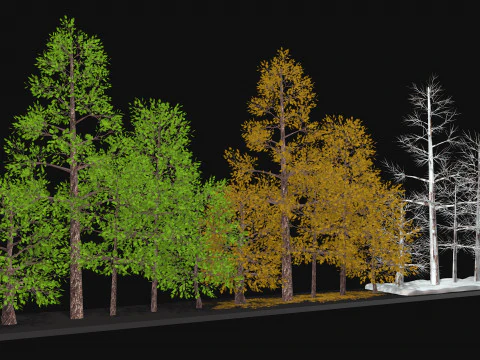 五棵低聚树三个季节低聚 3D 模型