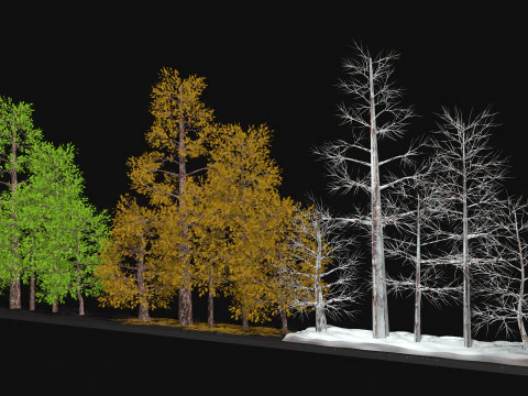 Five low poly trees Three seasons Low-poly 3D Model