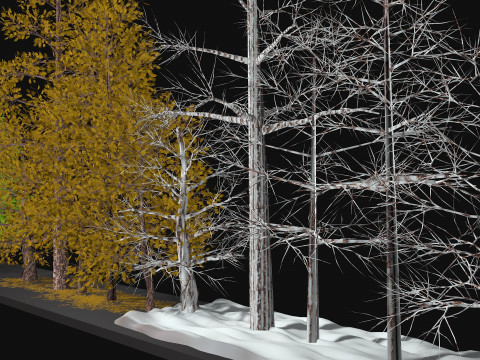 Five low poly trees Three seasons Low-poly Model 3D