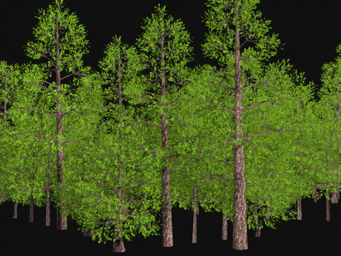 Five low poly trees Three seasons Low-poly 3D Model