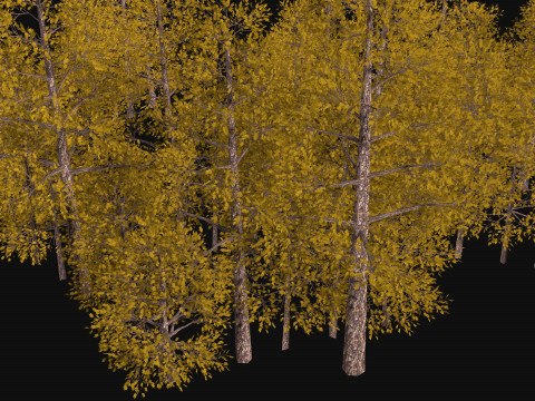 Five low poly trees Three seasons Low-poly Model 3D