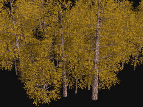 Five low poly trees Three seasons Low-poly 3D Model