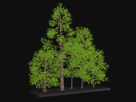 Five low poly trees Three seasons Low-poly Model 3D