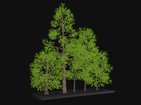 Five low poly trees Three seasons Low-poly 3D Model