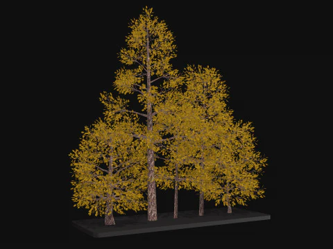 Five low poly trees Three seasons Low-poly 3D Model