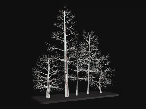 Five low poly trees Three seasons Low-poly 3D Model