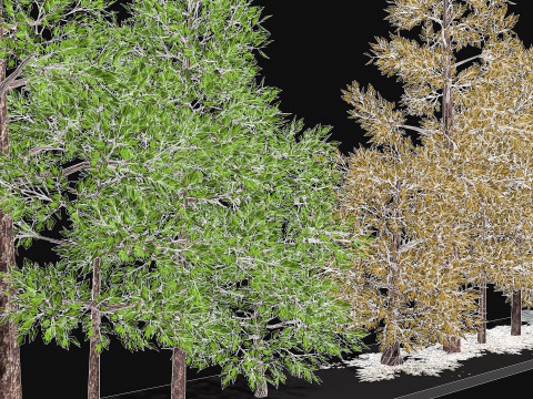 Five low poly trees Three seasons Low-poly Model 3D