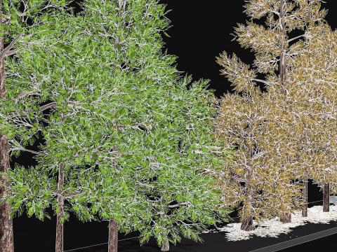 Five low poly trees Three seasons Low-poly 3D Model