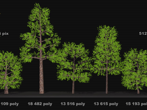 Five low poly trees Three seasons Low-poly Model 3D