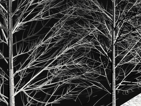 Dry frozen trees Bare tree Low-poly 3D Model