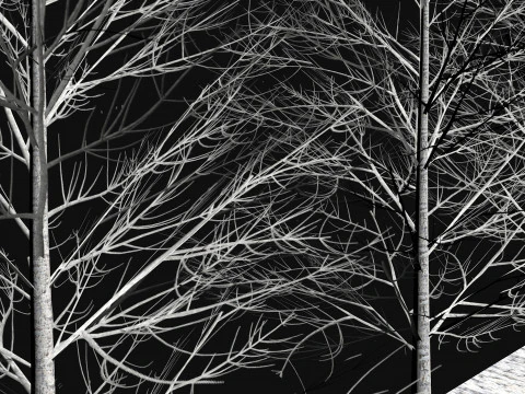 Dry frozen trees Bare tree Low-poly 3D Model