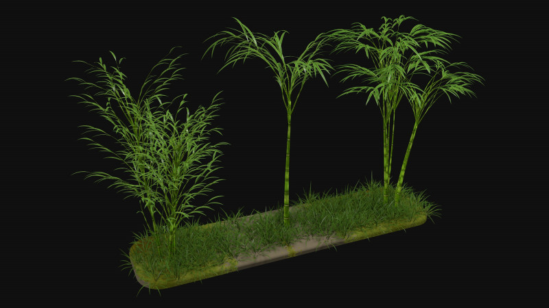 Three bamboos 3D Model .c4d .max .obj .3ds .fbx .stl .blend 