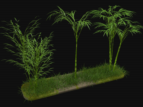 Three bamboos Modelo 3D