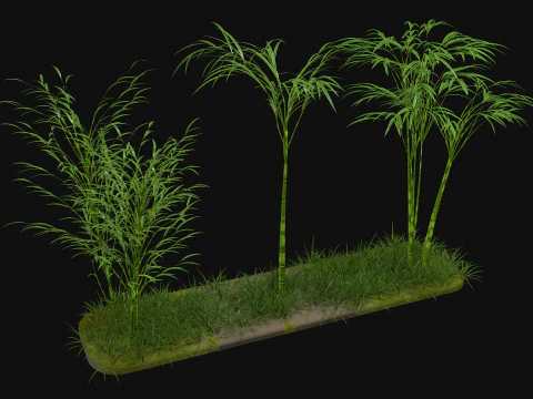 Tre bamb&ugrave; Modello 3D