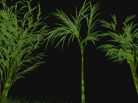 三本の竹 3Dモデル