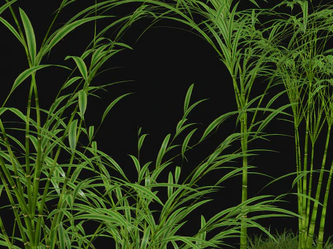 三本の竹 3Dモデル