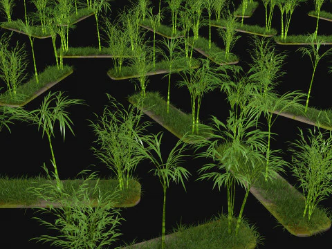 三本の竹 3Dモデル