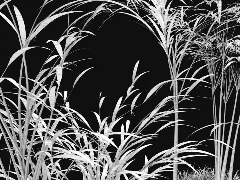 三本の竹 3Dモデル