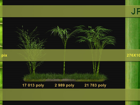 Three bamboos 3D Model