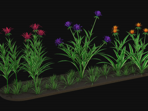 Flowers R12 3D Model