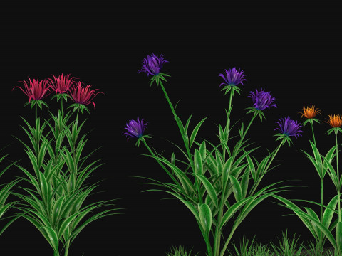 Flowers R12 Model 3D
