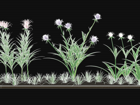 Flowers R12 Model 3D