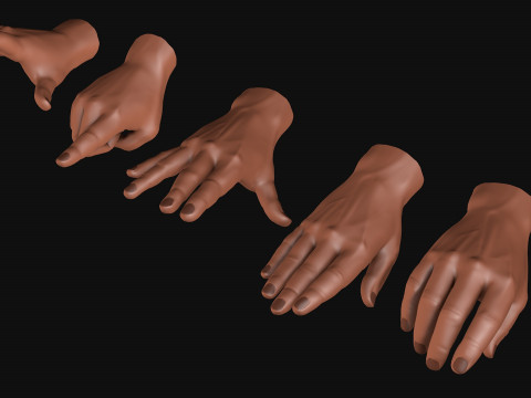 Male Hands 5 models R2 3D-Modell