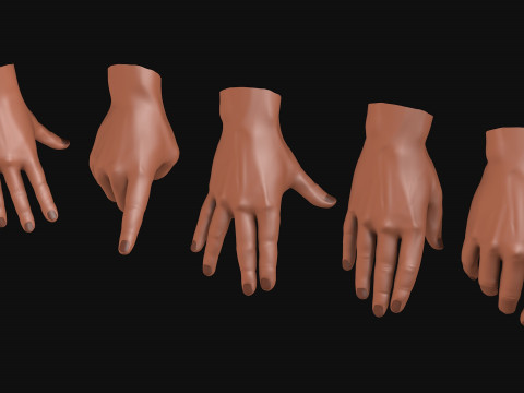 Male Hands 5 models R2 Modèle 3D