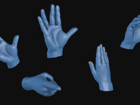 Male Hands 5 models R2 Modèle 3D