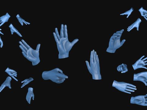 Male Hands 5 models R2 Modèle 3D