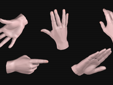 Male Hands 5 models R2 Modèle 3D