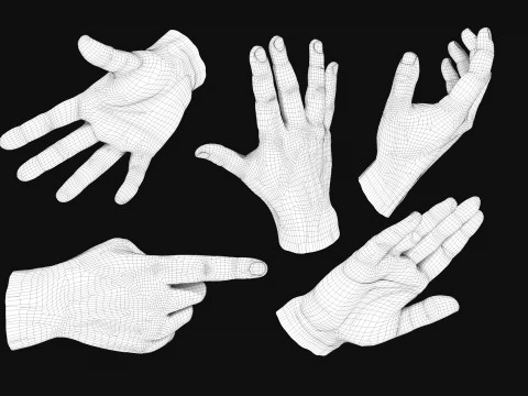 Male Hands 5 models R2 3D Model