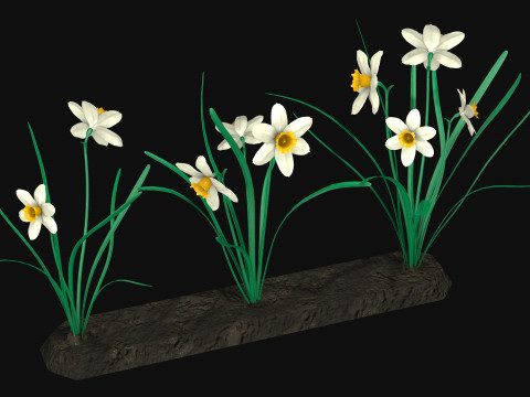 Narcissists narcissus Model 3D