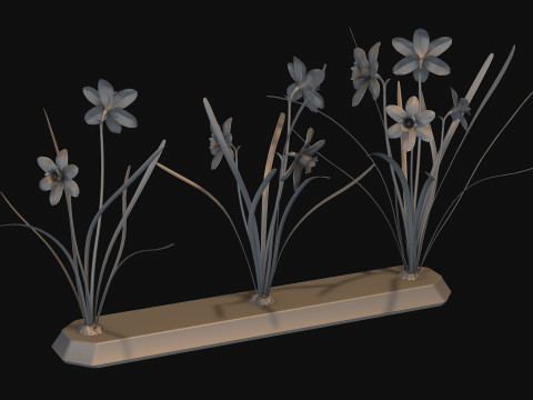 Narcissists narcissus 3D 모델