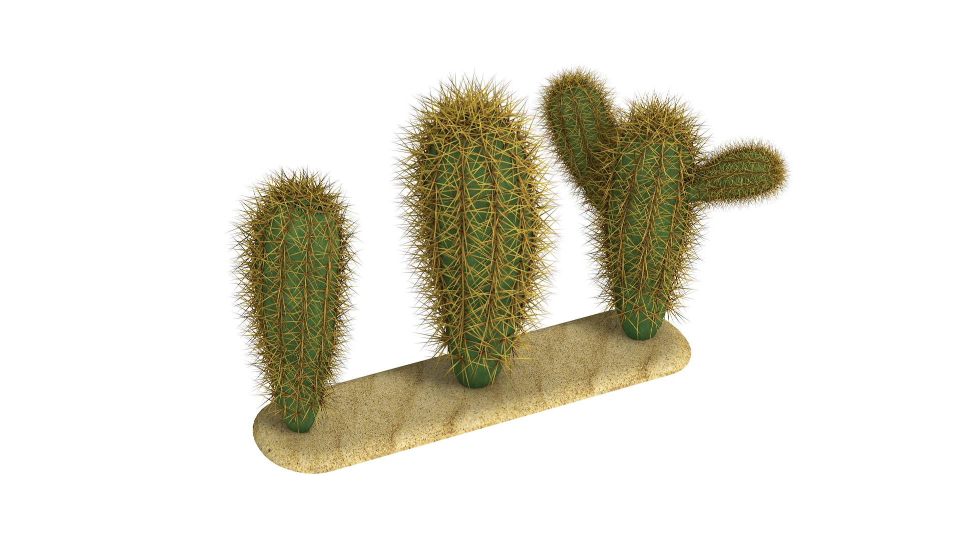 Cacti cactus peyote succulent 3D Model .c4d .max .obj .3ds .fbx .stl .blend 