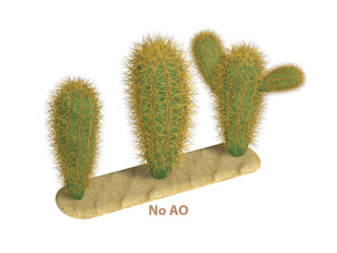 Cacti cactus peyote succulent Modelo 3D