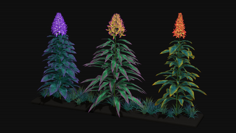 Flowers Paniculata hybrid Model 3D .c4d .max .obj .3ds .fbx .stl .blend