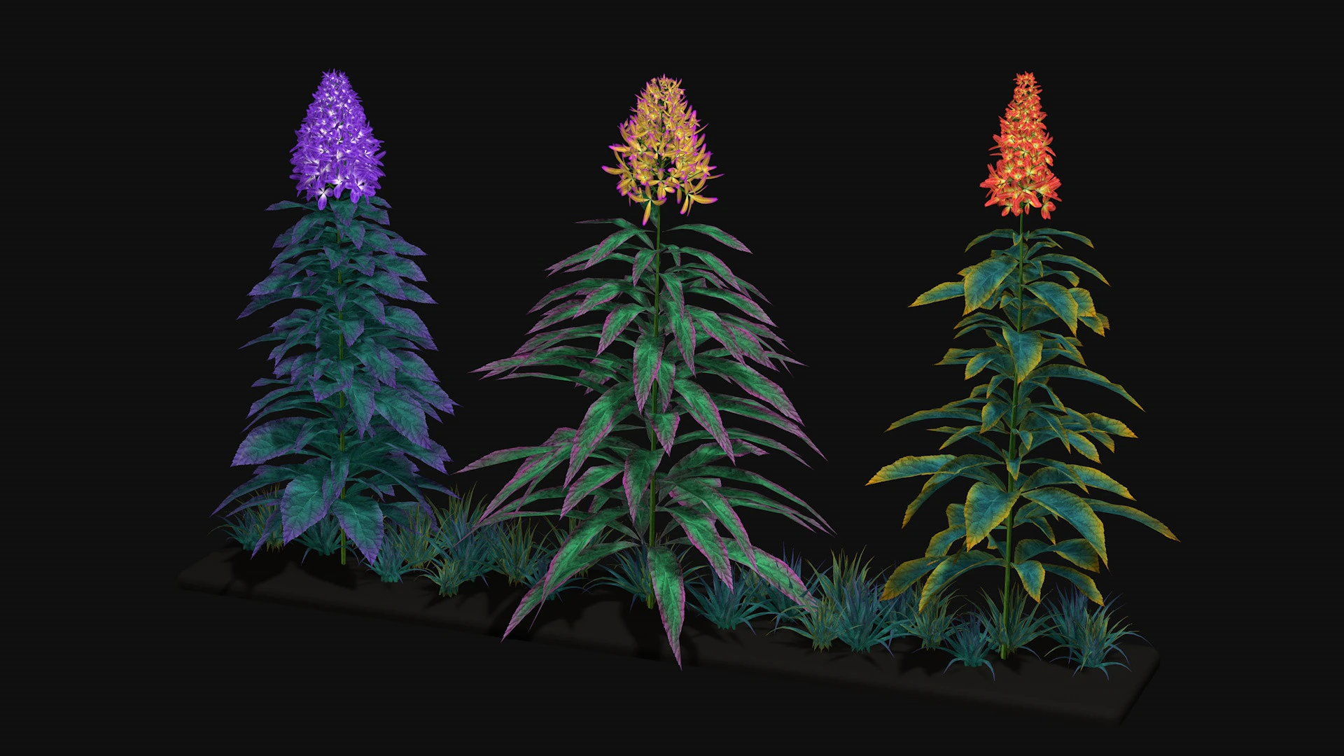 Flowers Paniculata hybrid 3D Model .c4d .max .obj .3ds .fbx .stl .blend 