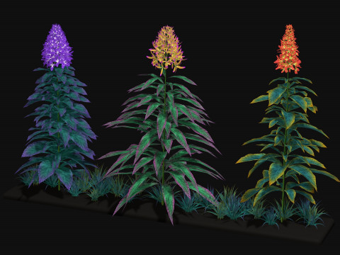Flowers Paniculata hybrid 3D Model