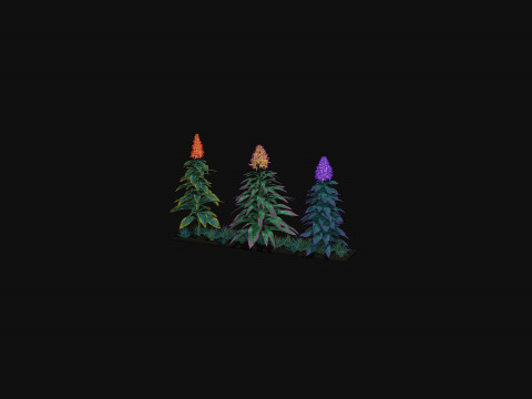 Flowers Paniculata hybrid Model 3D