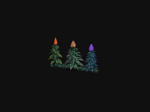 Flowers Paniculata hybrid 3D Model