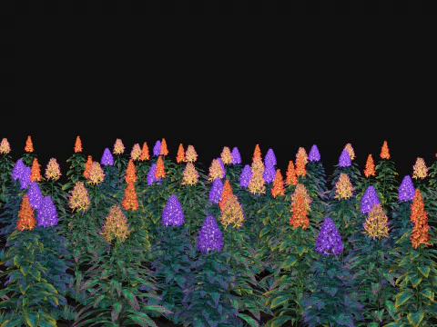 Flowers Paniculata hybrid 3D Model