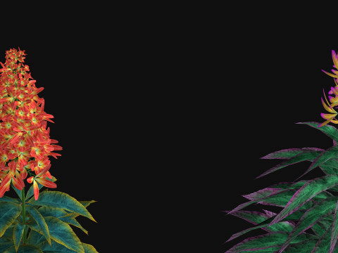 Flowers Paniculata hybrid Model 3D