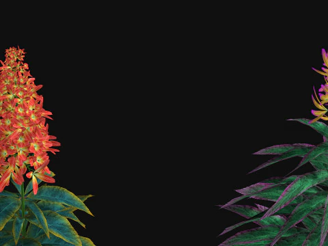 Flowers Paniculata hybrid 3D Model