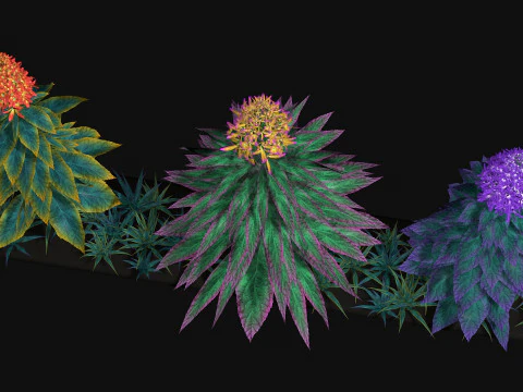 Flowers Paniculata hybrid 3D Model