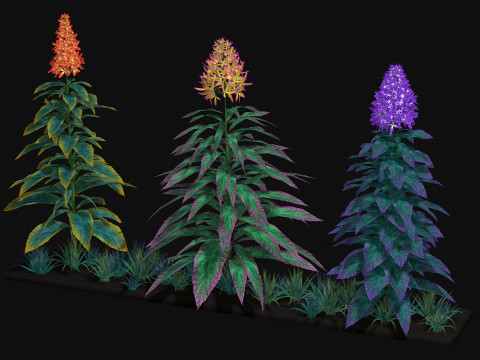 Flowers Paniculata hybrid Model 3D