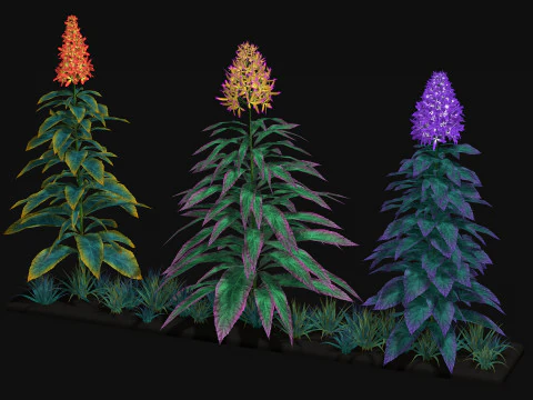 Flowers Paniculata hybrid 3D Model