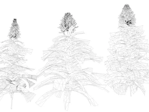 Flowers Paniculata hybrid 3D Model